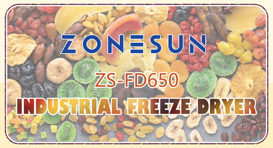 Elevate Your Process with the ZS-FD650 Vacuum Freeze Dryer