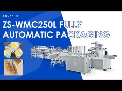 ZONESUN ZS-WMC250L Automatic Production Line Horizontal Flow Wrapping Machine